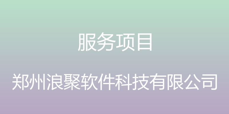 服务项目 - 郑州浪聚软件科技有限公司